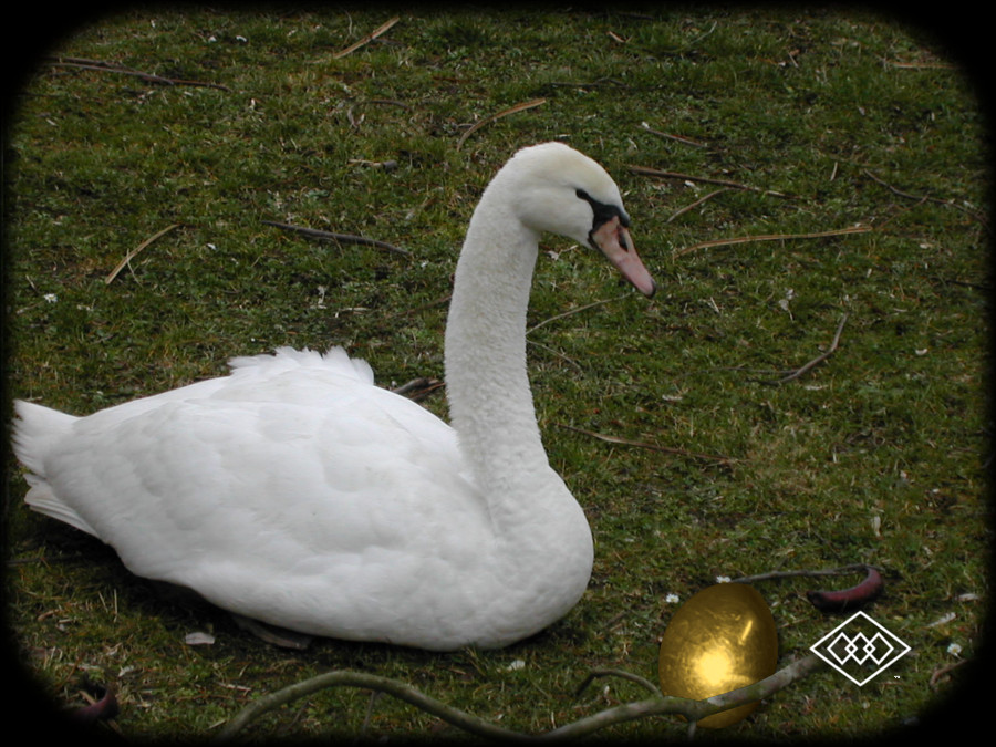 Fairyland with the Golden Egg and Swan